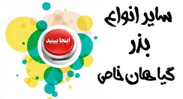 قیمت فروش بذر گل ها و گیاهان خاص و کمیاب و نایاب